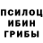 Галлюциногенные грибы Cubensis Sarvarjon Yigitaliyev
