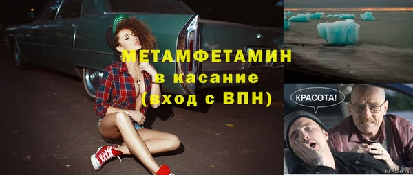 шишки Арсеньев