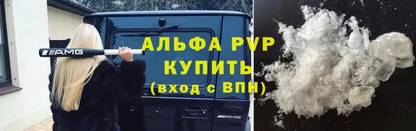 шишки Арсеньев