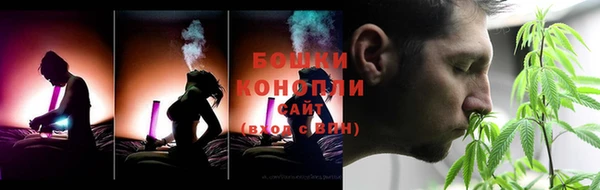 шишки Арсеньев