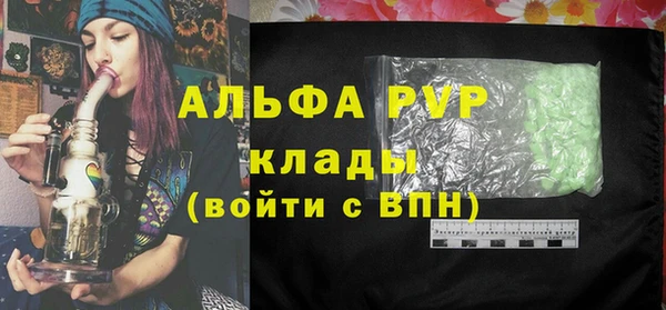 шишки Арсеньев