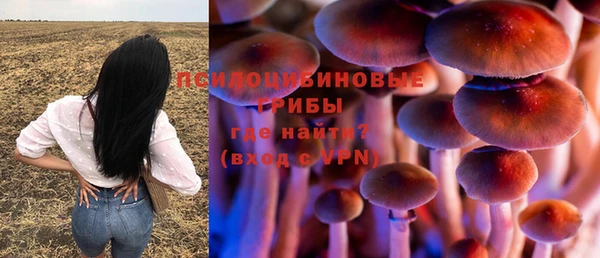 шишки Арсеньев