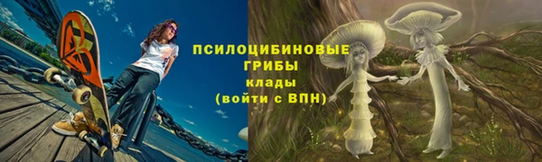 шишки Арсеньев