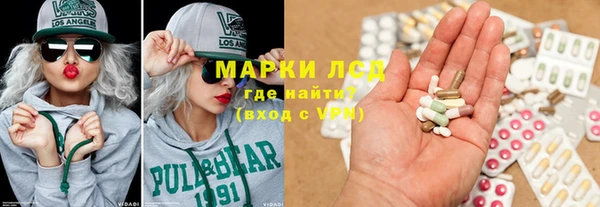 шишки Арсеньев